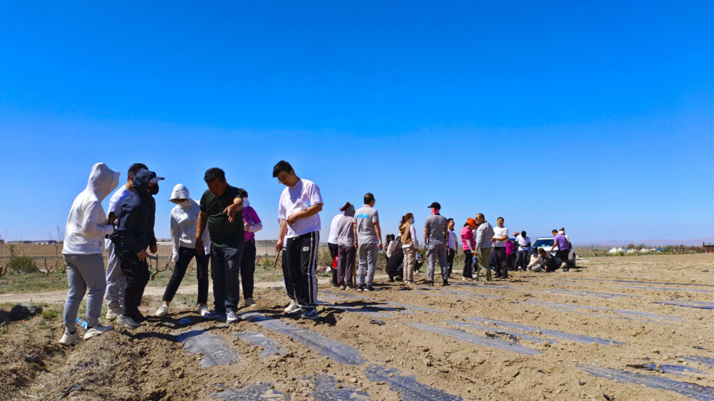 走进田园 播种希望|KA电子物流春种团建活动