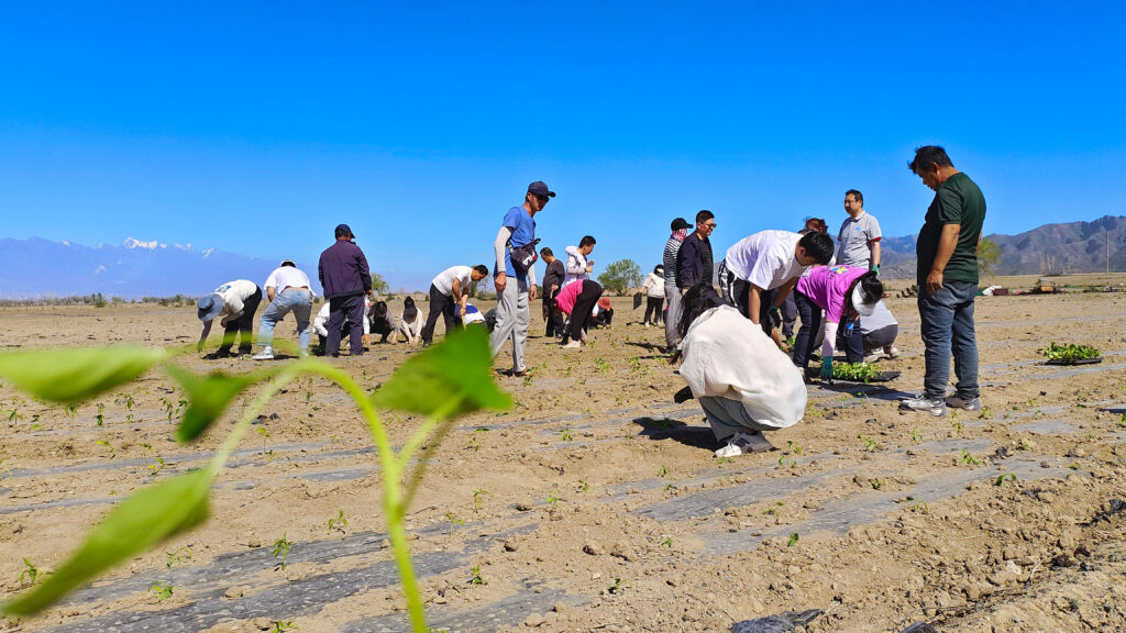 走进田园 播种希望|KA电子物流春种团建活动